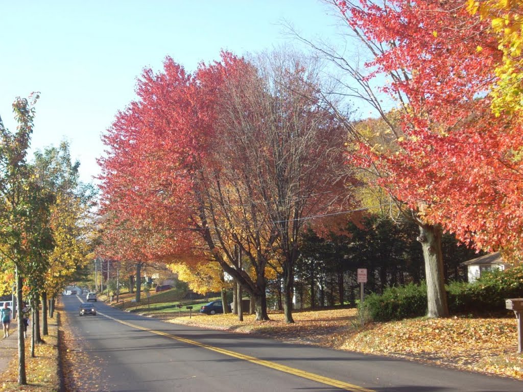Wallingford CT